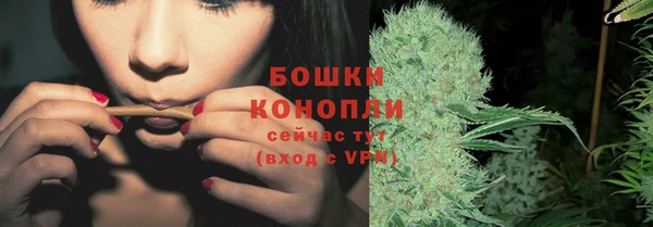 каннабис Новодвинск