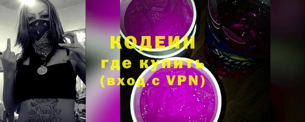 МДПВ Нея