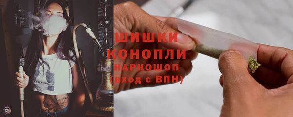 гидра Новозыбков