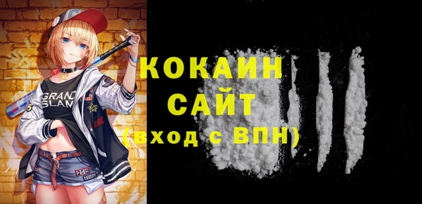 МДПВ Нея