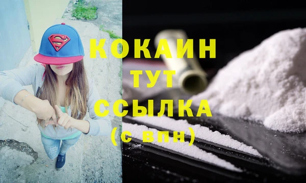 МДПВ Нея