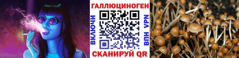 Галлюциногенные грибы MAGIC MUSHROOMS  Астрахань 