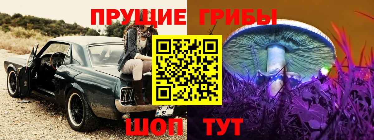 Астрахань  Галлюциногенные грибы мухоморы  Вход с VPN  Псилоцибиновые грибы Psilocybe 